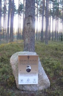 Powiększ