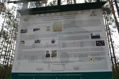 Powiększ