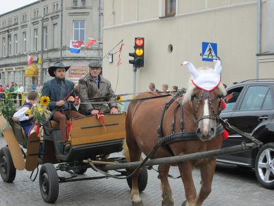Powiększ