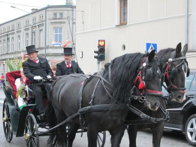 Powiększ