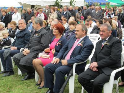 Powiększ