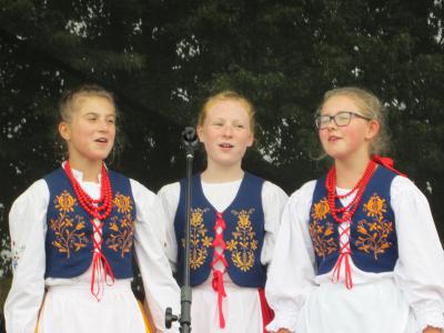 Powiększ