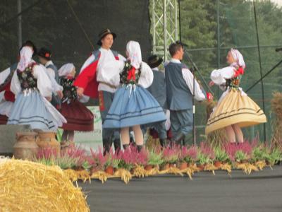 Powiększ