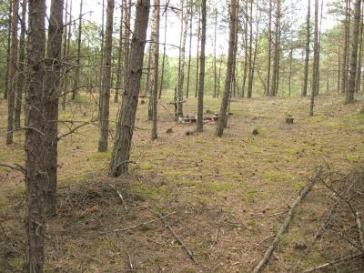 Powiększ