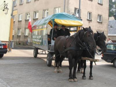 Powiększ