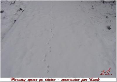 Powiększ