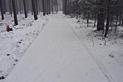Powiększ