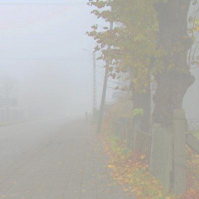 Gęsta mgła na głównej drodze w Brusach