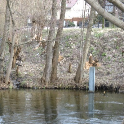 Rzeka w Swornychgaciach