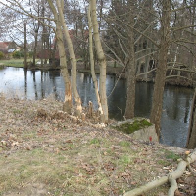 Rzeka w Swornychgaciach