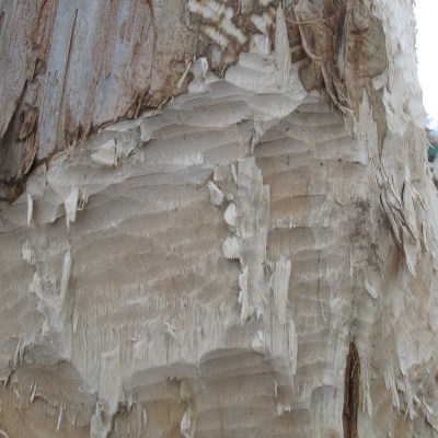 Rzeka w Swornychgaciach