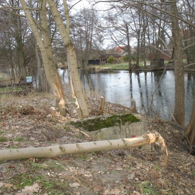 Rzeka w Swornychgaciach